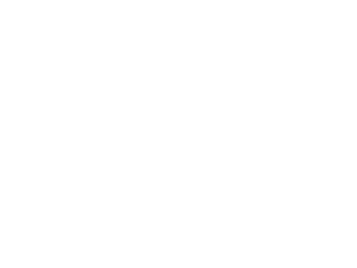 GRUPO FORTIS FORTUNA ADIUVAT
